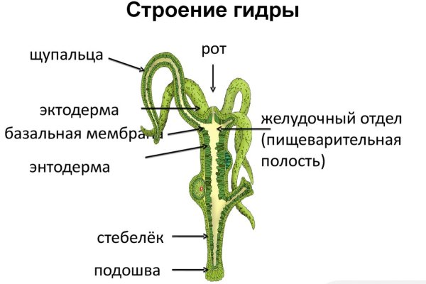 Кракен орг