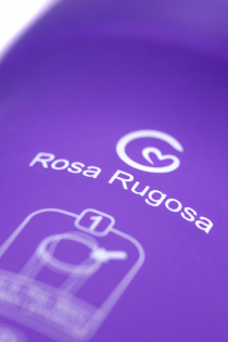 Контейнер для обработки Rosa Rugosa Mini Bar